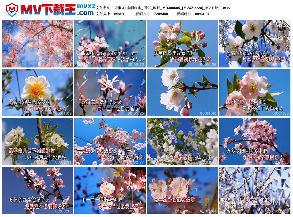 乐桐-红尘啊红尘_国语_流行_MD300605